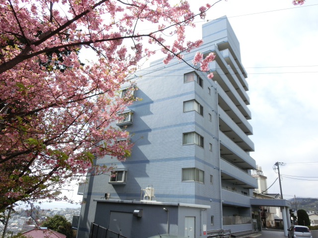 フレール伊豆稲取外観　桜満開時の様子