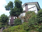 伊豆高原別荘地 伊豆高原別荘地