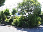 浮山別荘 浮山別荘
