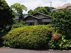 浮山別荘 浮山別荘