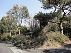 浮山温泉別荘 浮山温泉別荘