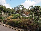 浮山別荘 浮山別荘